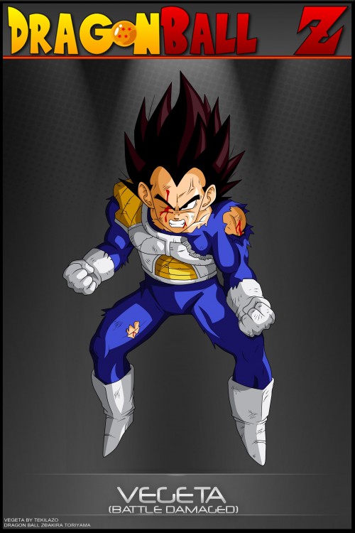 Vegeta-damage.jpg