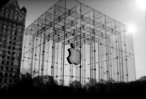 apple_store_2-other.jpg