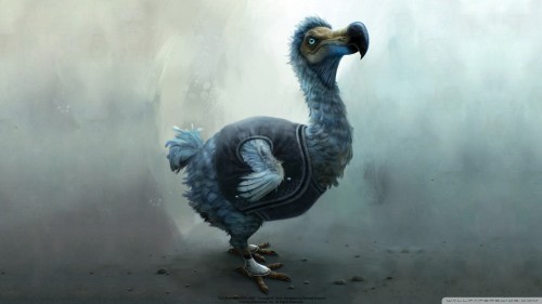 dodo-wallpaper-1920x1080.jpg