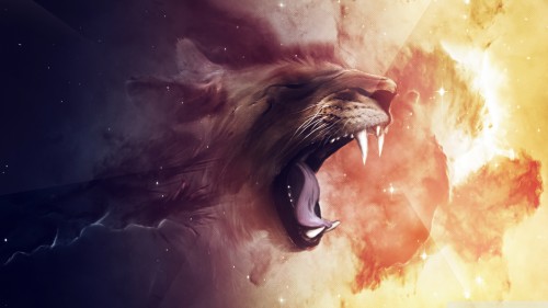 lion_9-wallpaper-1920x1080.jpg