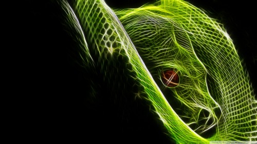 other_snake-wallpaper-1920x1080.jpg
