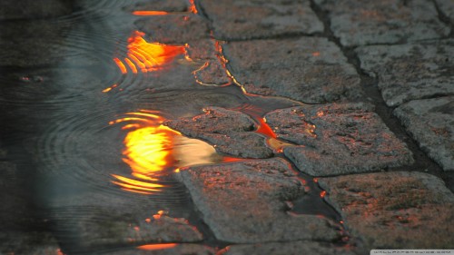 pavement_puddle-wallpaper-1920x1080.jpg