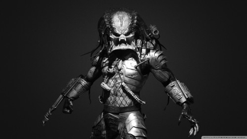 predator_2-wallpaper-1920x1080.jpg