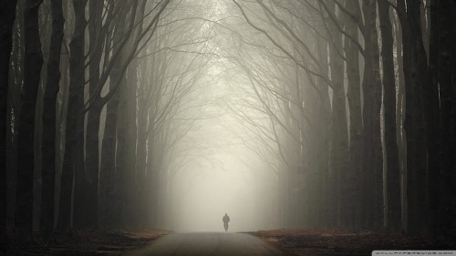 the_loneliness_of_autumn-wallpaper-1920x1080.jpg