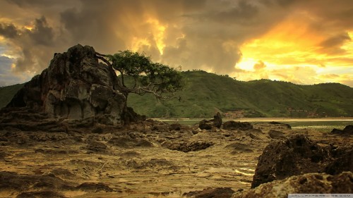 the_rol-wallpaper-1920x1080.jpg