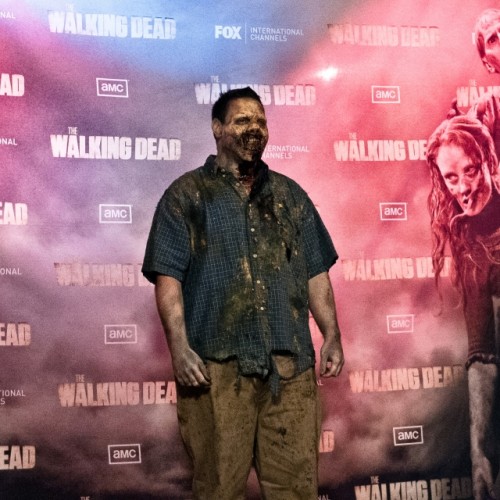 Inspirats-TheWalkingDead170.jpg