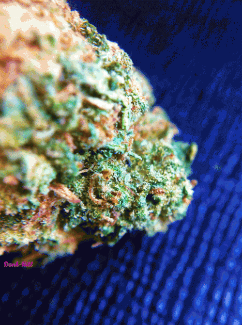 Weed *-* GIF