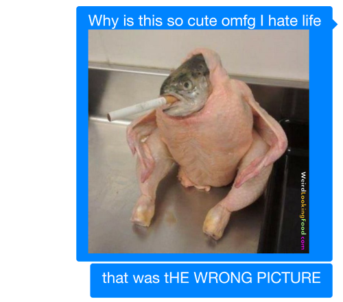 tumblr_mwr33zat8c1rfu6sbo1_500.png