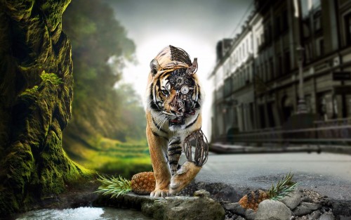 tigr_kiborg-2560x1600.jpg