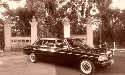 Parque-Zoologico-Nacional-Simon-Bolivar-COSTA-RICA-300D-LANG-MERCEDES-LIMOSINA.jpg