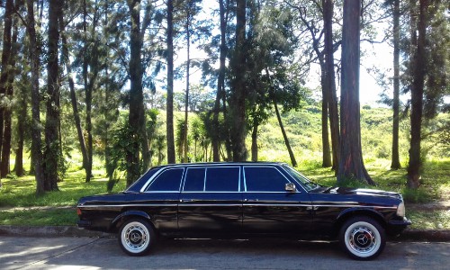Public-park-Mercedes-300d-Lang-Limousine.-Rohrmoser-Costa-Rica.jpg