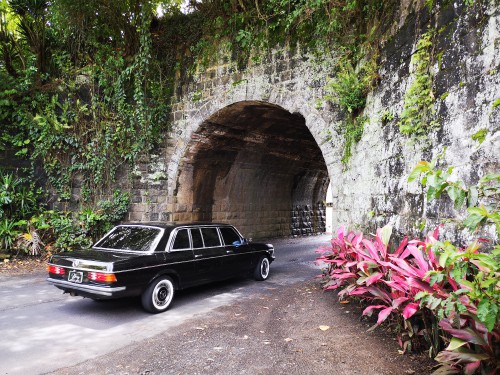 Puentes-del-Ferrocarril-en-Parruas-MERCEDES-300D-W123-LIMOUSINE.-COSTA-RICA.jpg