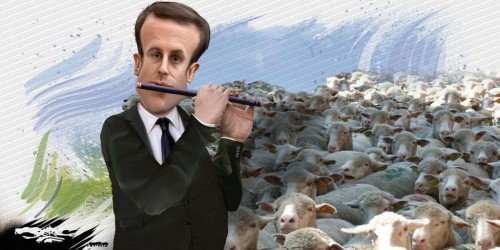 macron_pipeau.jpg