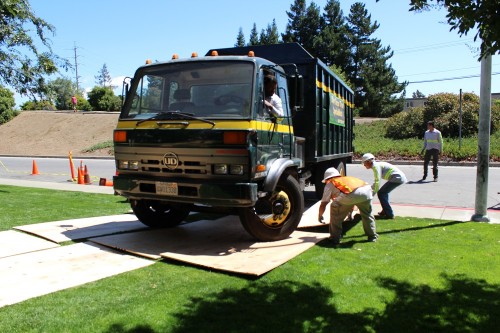 Tree-Removal-Palo-Alto.jpg