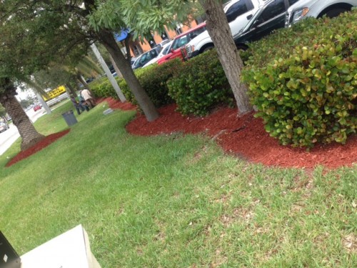 Pembroke-Pines-Property-Maintenance.jpg