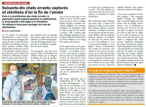 La-Gazette-des-Yvelines-211020_Soixante-dix-chats-errants-captures-et-sterilises-dici-la-fin-de-lannee.jpg