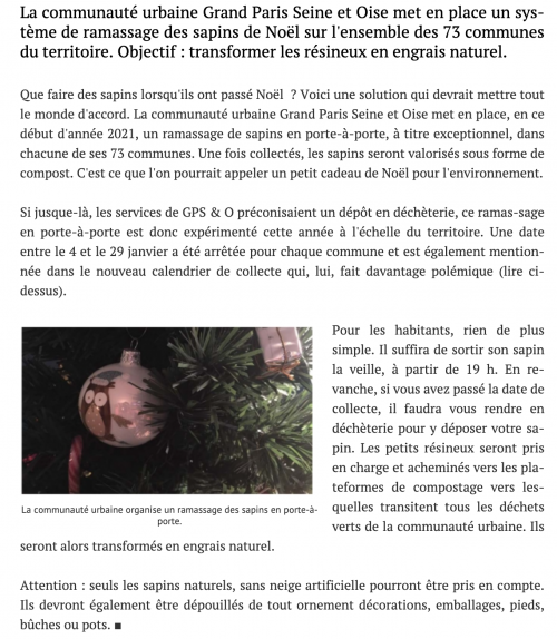 Et-si-vous-transformiez-votre-sapin-de-Noel-en-compost-.png