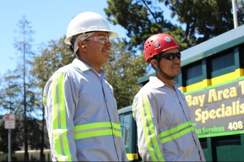 Tree-Service-Palo-Alto.jpg