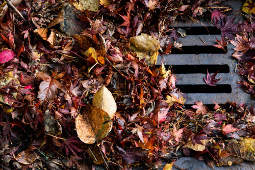 Storm-Water-Drain-Cleaning-Miami-FL.jpg