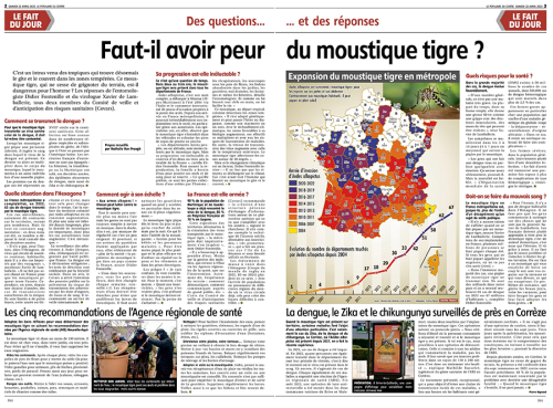 faut-il-avoir-peur-du-moustique-tigre.png