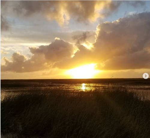 Everglades Airboat Expeditions
17696 SW 8th Street
Miami, FL 33194
(305) 382-0334