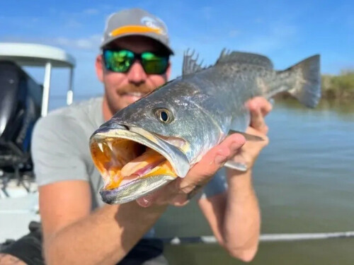 New-Smyrna-Beach-Fishing-Charters.jpg