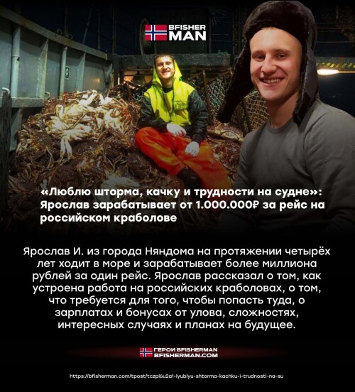 bfishg_814670.jpg