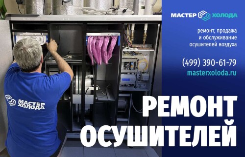 masterxoloda531.jpg