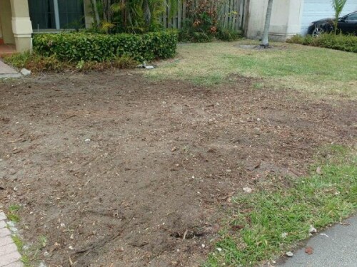 Stump-Removal-Miami-FL.jpg