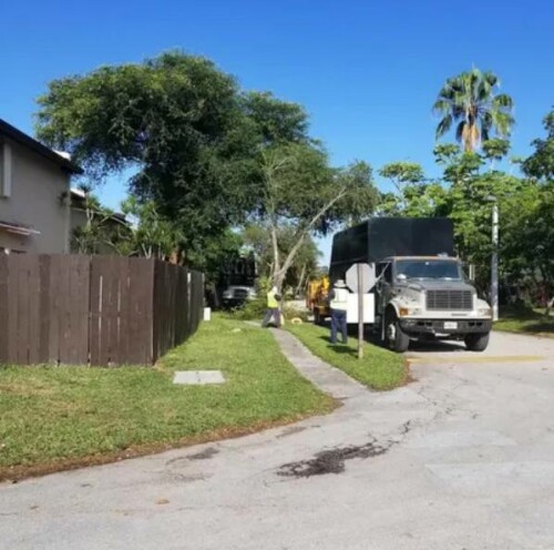 Tree-Service-Miami.jpg